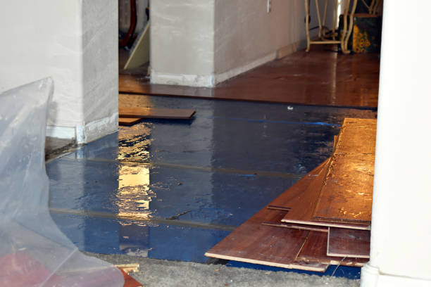 Professional Basement Water Removal technician working in Lake Ann, MI